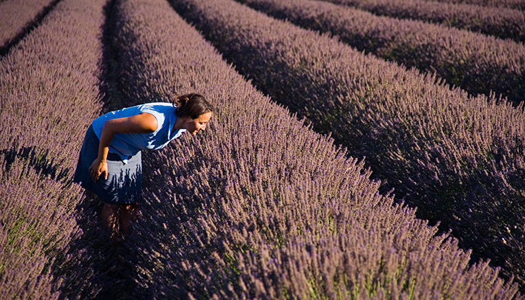 Wpcq-provence-costabrava-walking-13